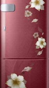 Samsung 212 L Direct Cool Single Door 3 Star Refrigerator  (Star Flower Red, RR22N3Y2ZR2-HL/RR22M2Y2ZR2-NL)